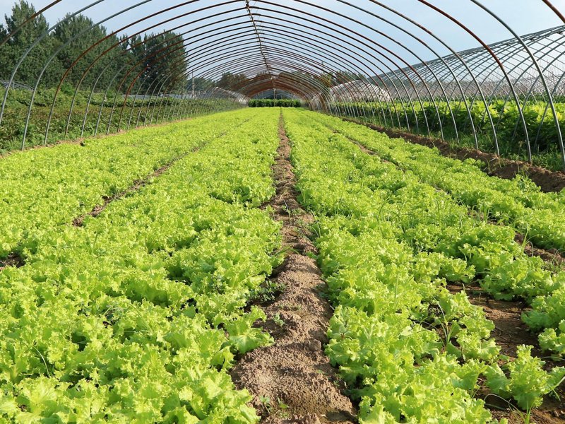 广州云侬实业:互联网技术如何引领企业革新